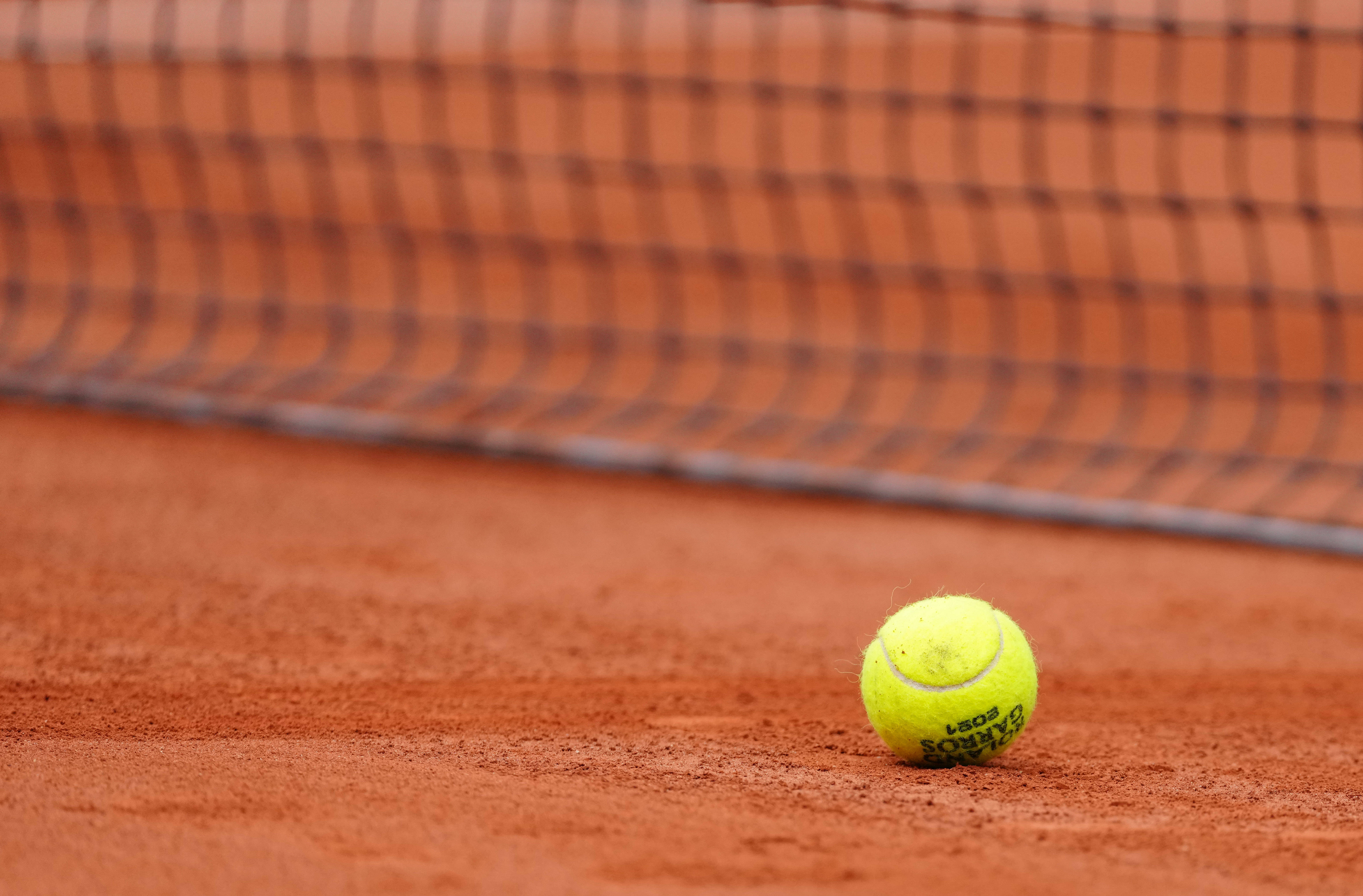 阿莱格里的 阿莱格里的