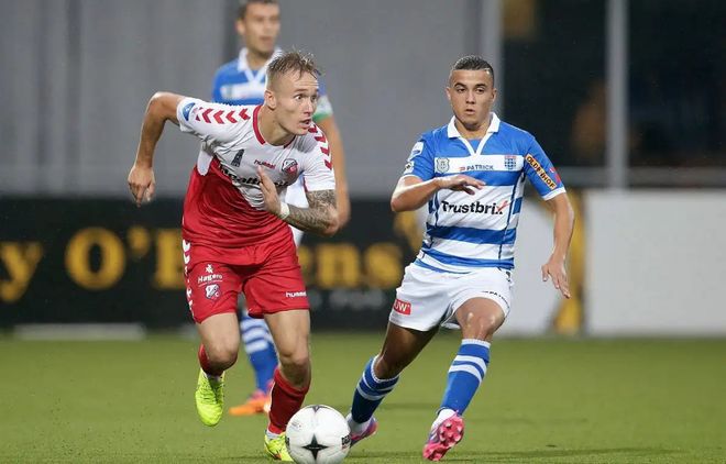 化石真假 化石真假